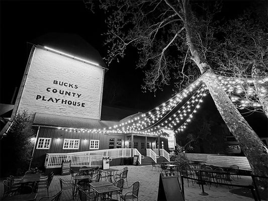 Bryun Holt - Framed Artwork - Bucks County Playhouse