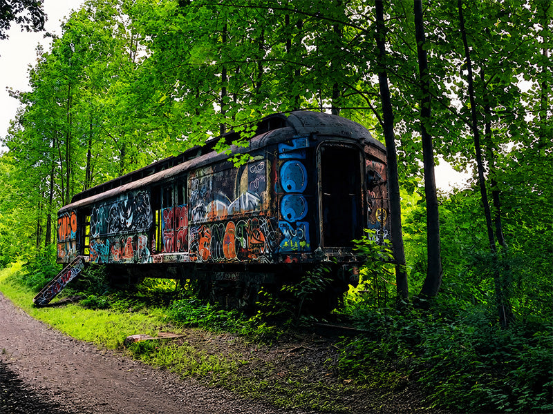 Bryun Holt photography print - Graffiti Train
