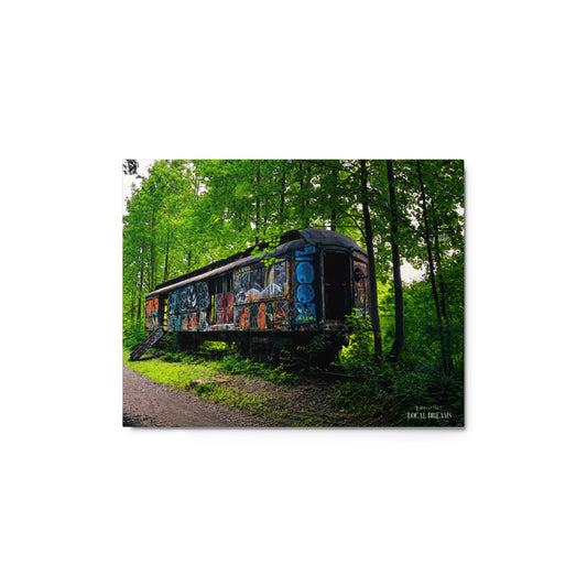 Bryun Holt - Metal Print